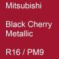 Preview: Mitsubishi, Black Cherry Metallic, R16 / PM9.